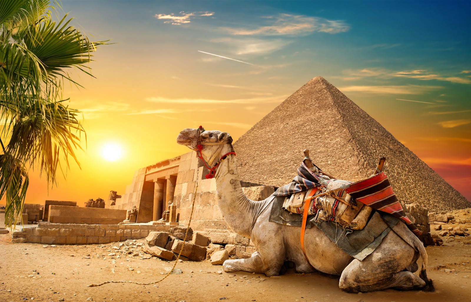 Egypt | Tourist (Sticker)